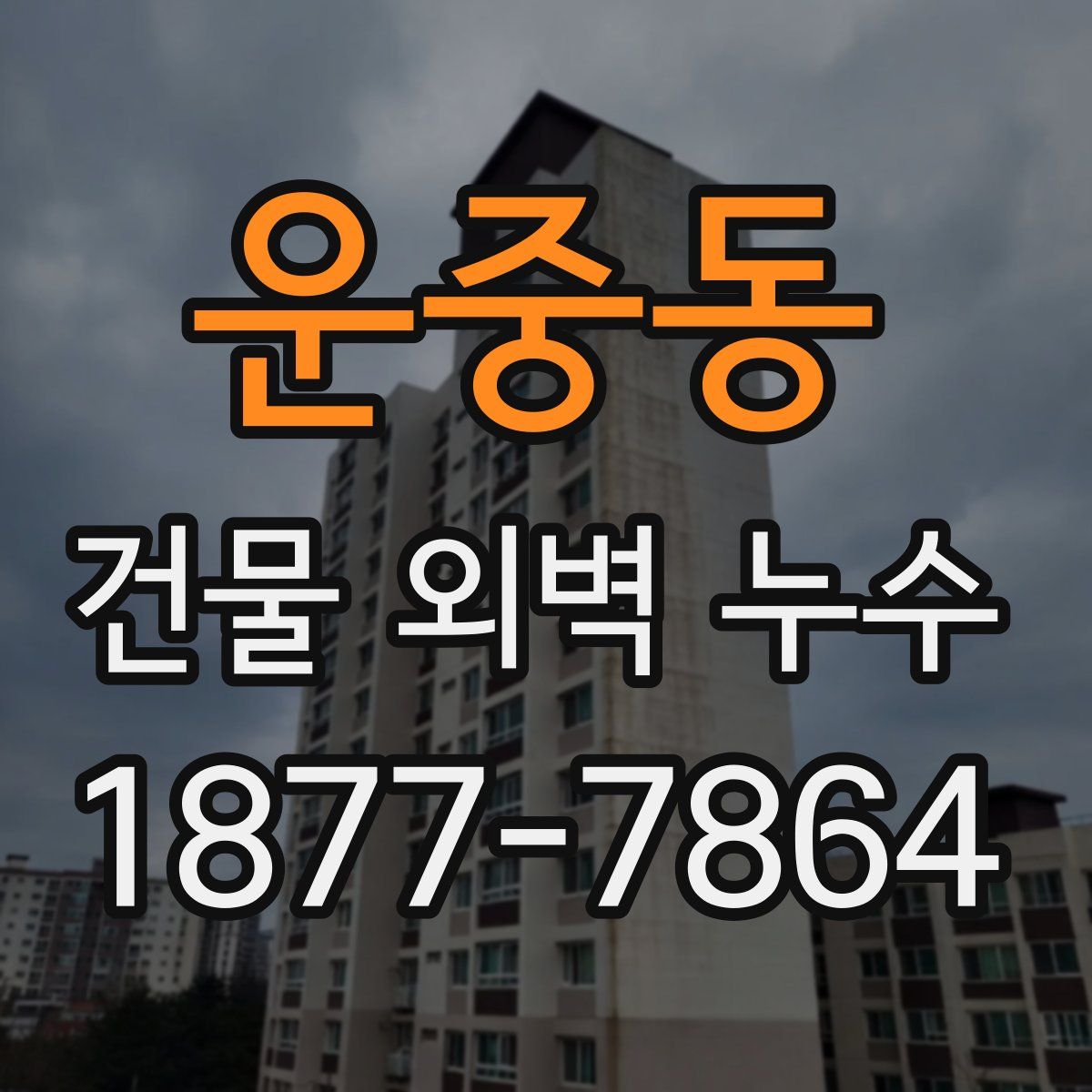 운중동 건물 외벽 누수