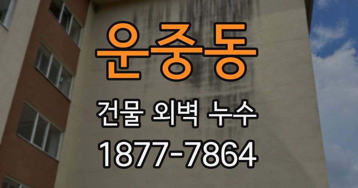 운중동 건물 외벽 누수