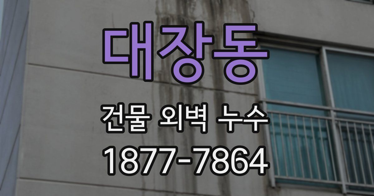 대장동 건물 외벽 누수