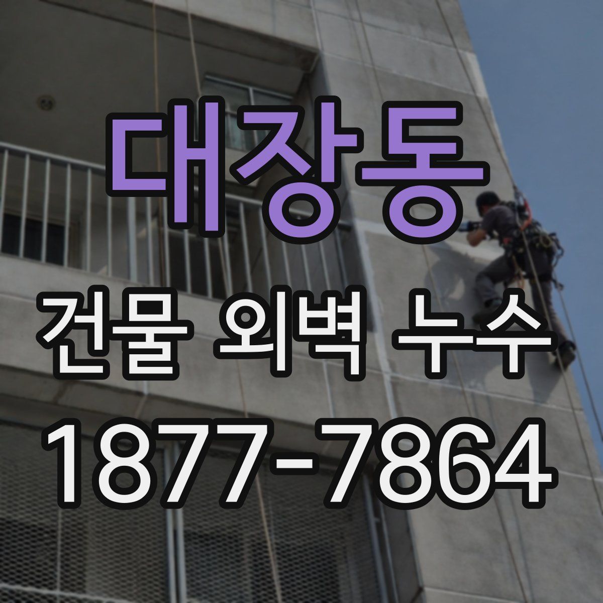 대장동 건물 외벽 누수