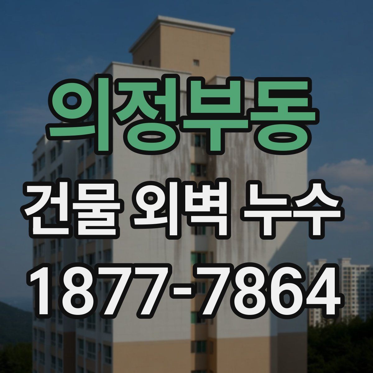 의정부동 건물 외벽 누수 의심 부위의 특징