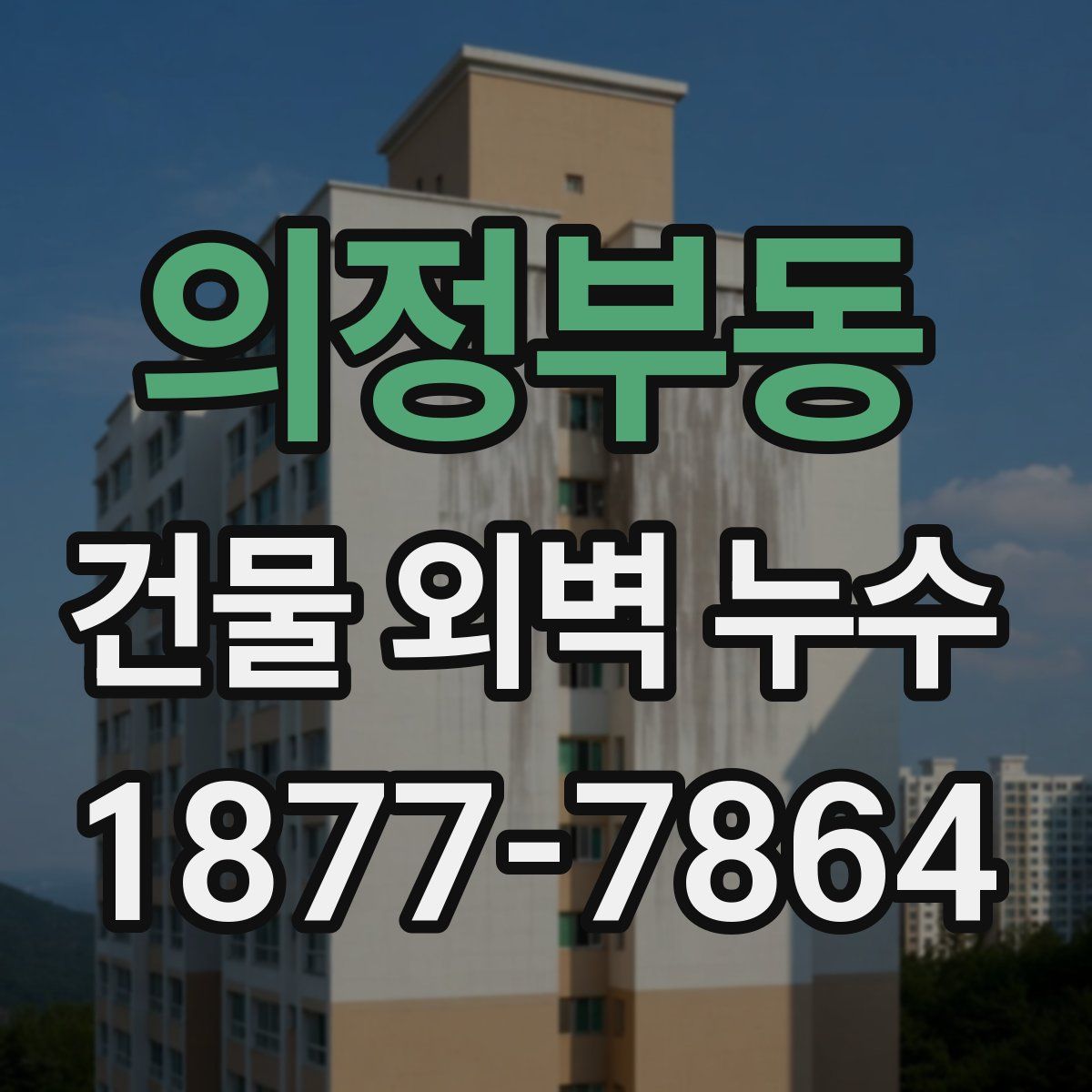 의정부동 건물 외벽 누수