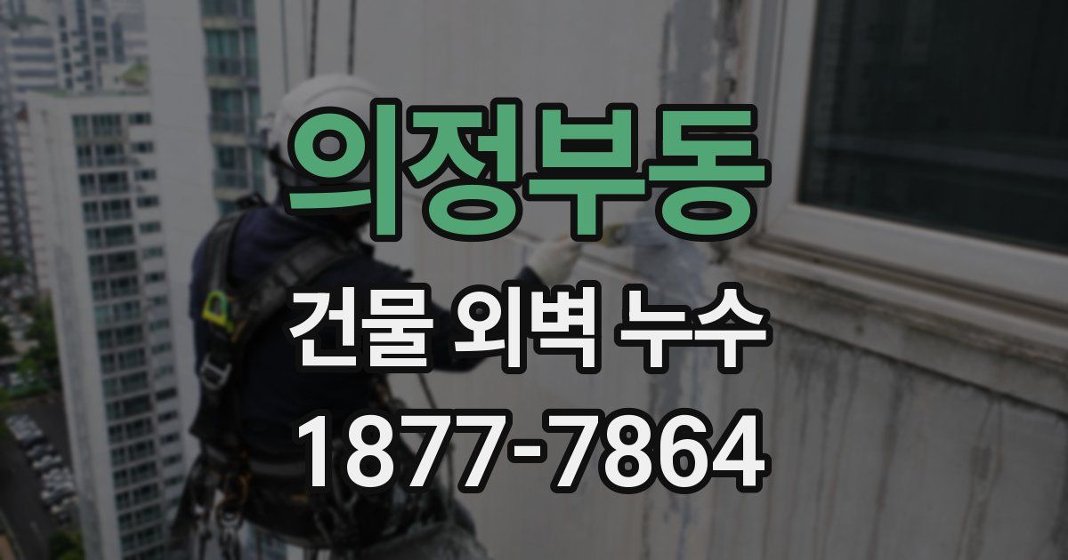 의정부동 건물 외벽 누수