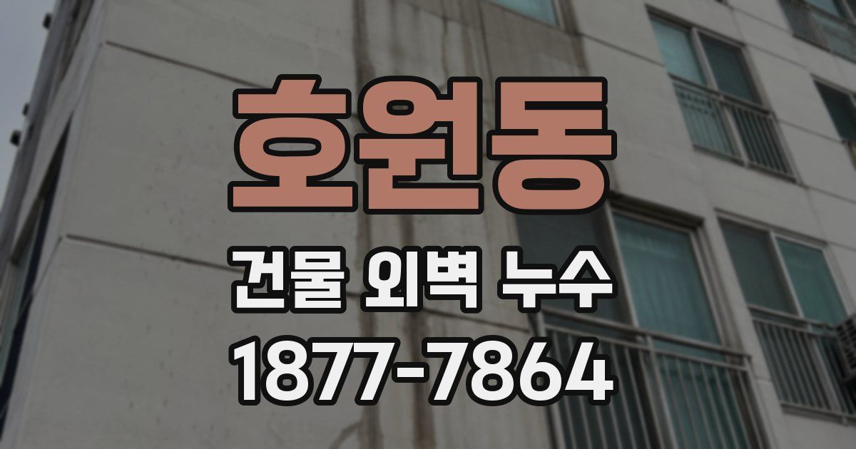 호원동 건물 외벽 누수