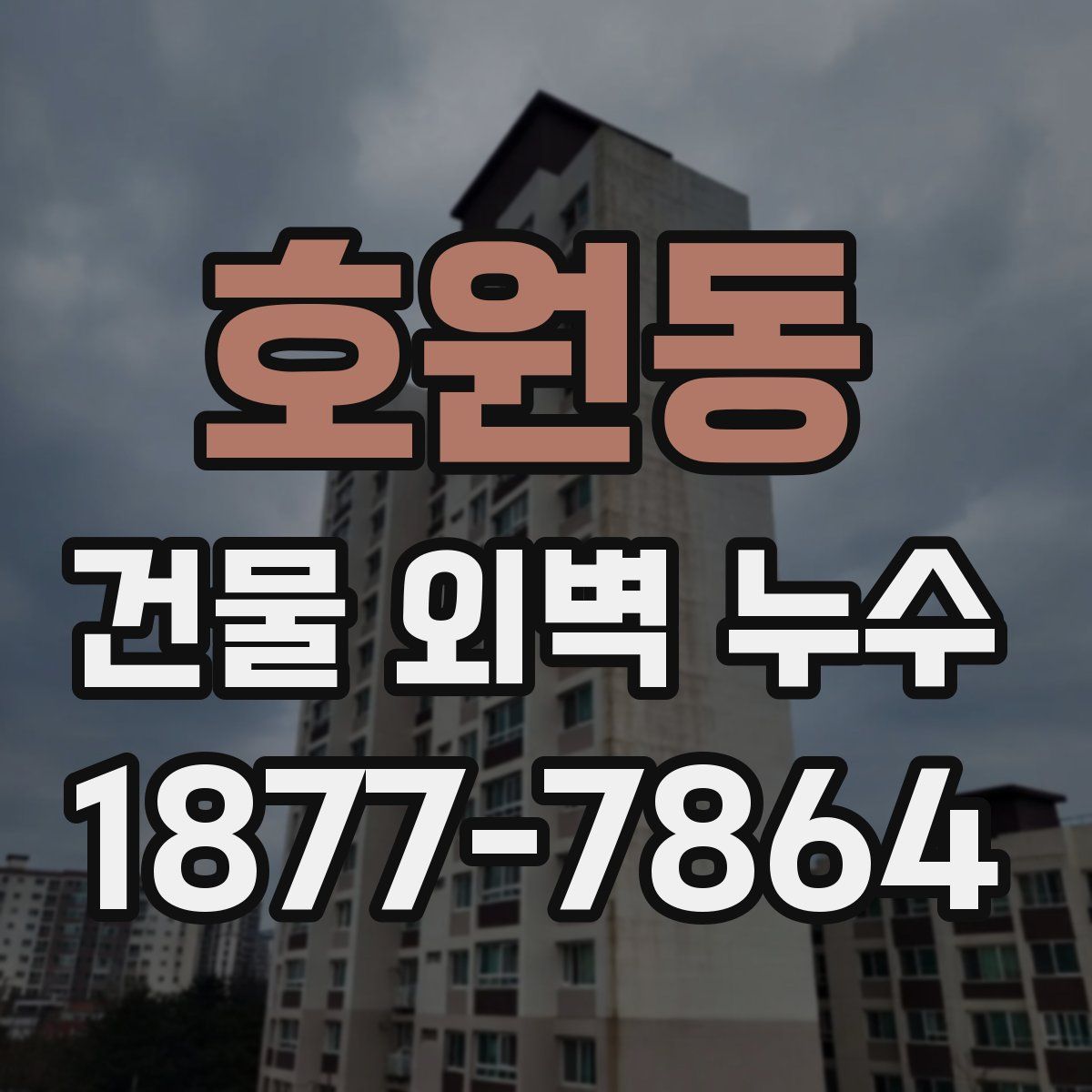 호원동 건물 외벽 누수