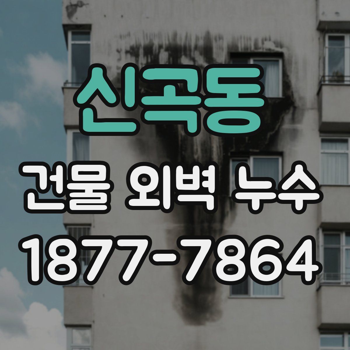 신곡동 건물 외벽 누수