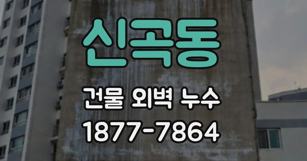 신곡동 건물 외벽 누수