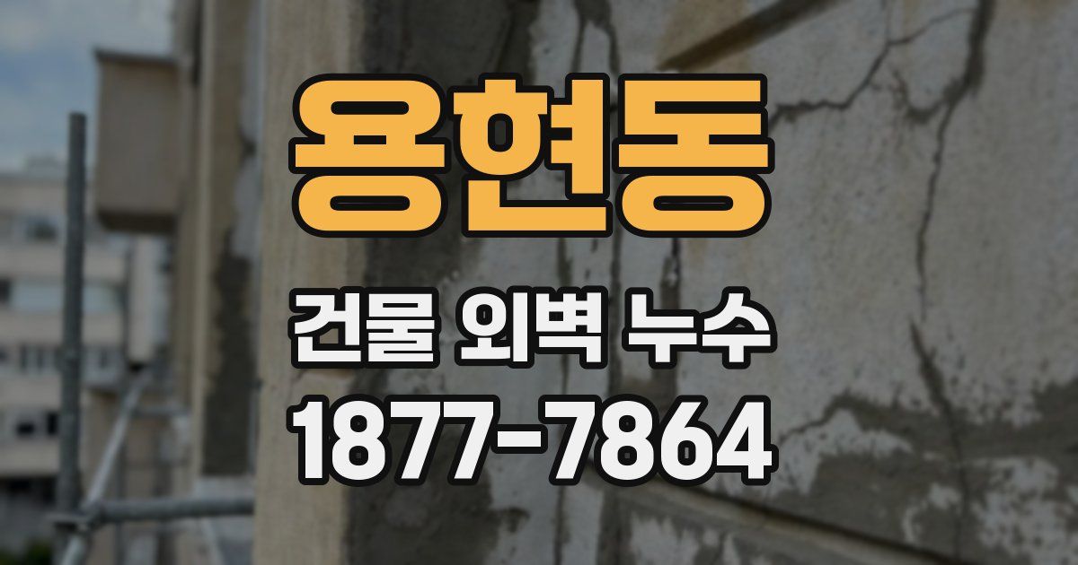 용현동 건물 외벽 누수