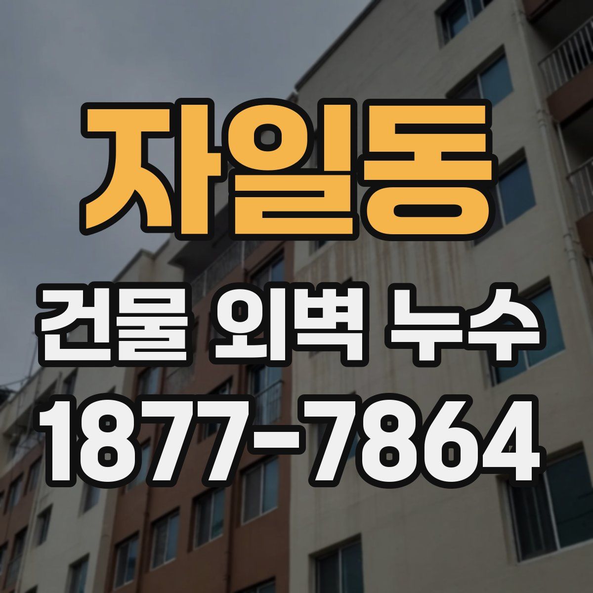 자일동 건물 외벽 누수