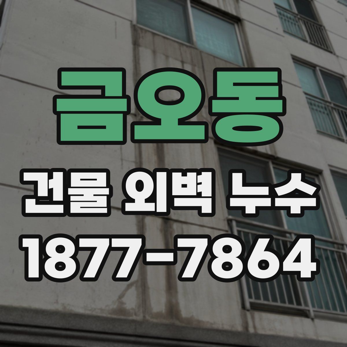금오동 건물 외벽 누수