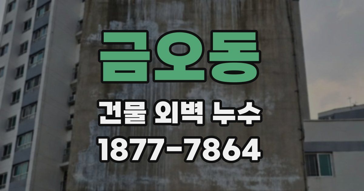 금오동 건물 외벽 누수