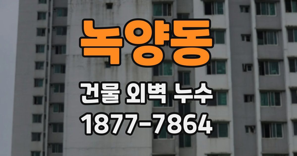 녹양동 건물 외벽 누수