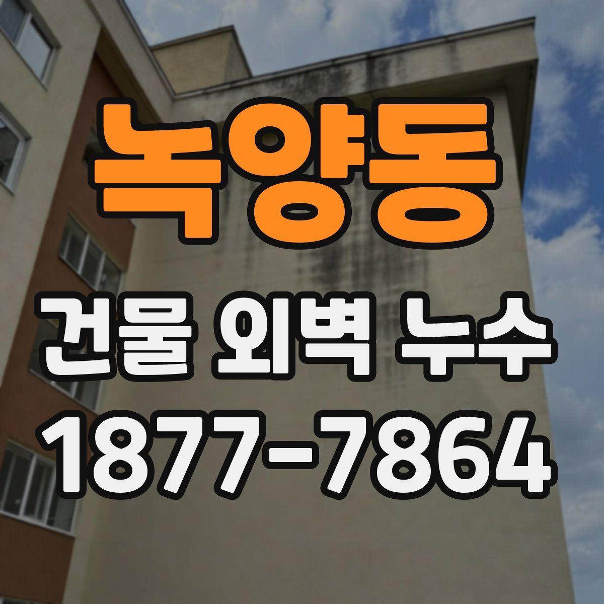 녹양동 건물 외벽 누수
