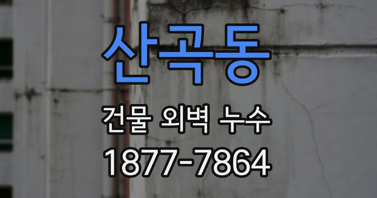 산곡동 건물 외벽 누수