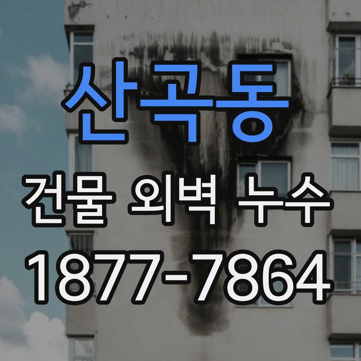 산곡동 건물 외벽 누수