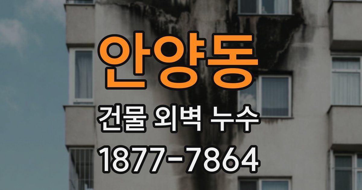 안양동 건물 외벽 누수