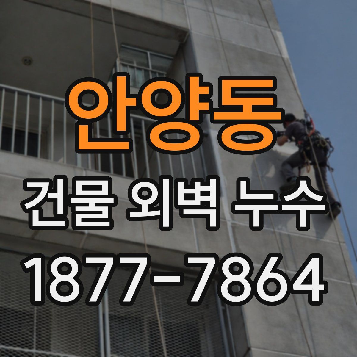 안양동 건물 외벽 누수