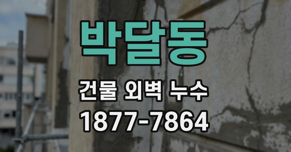 박달동 건물 외벽 누수