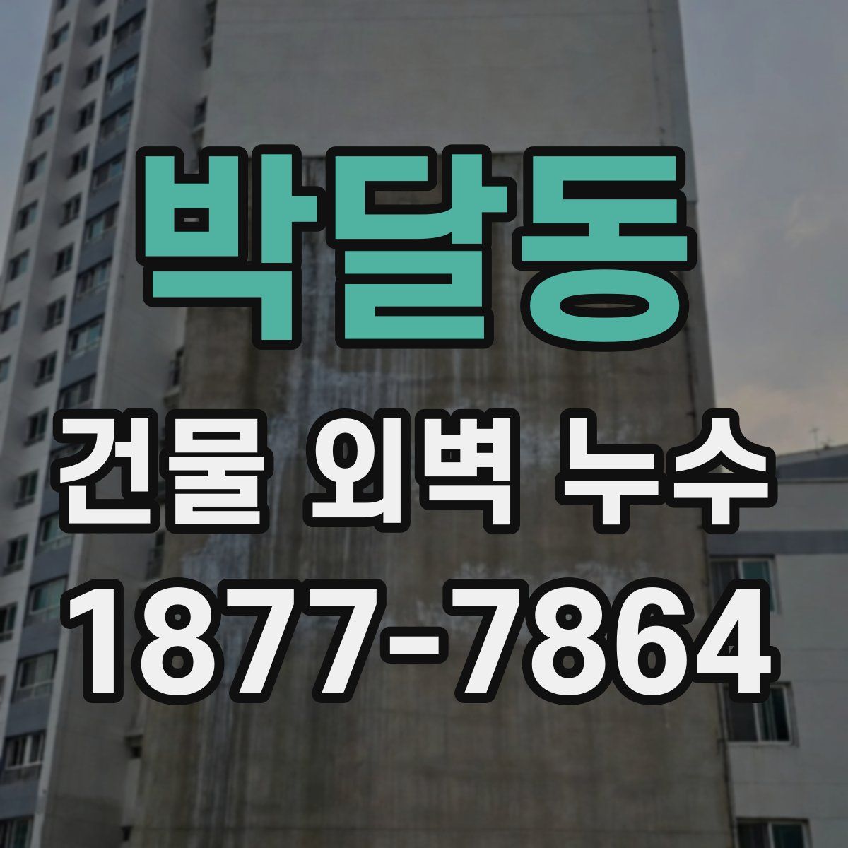 박달동 건물 외벽 누수
