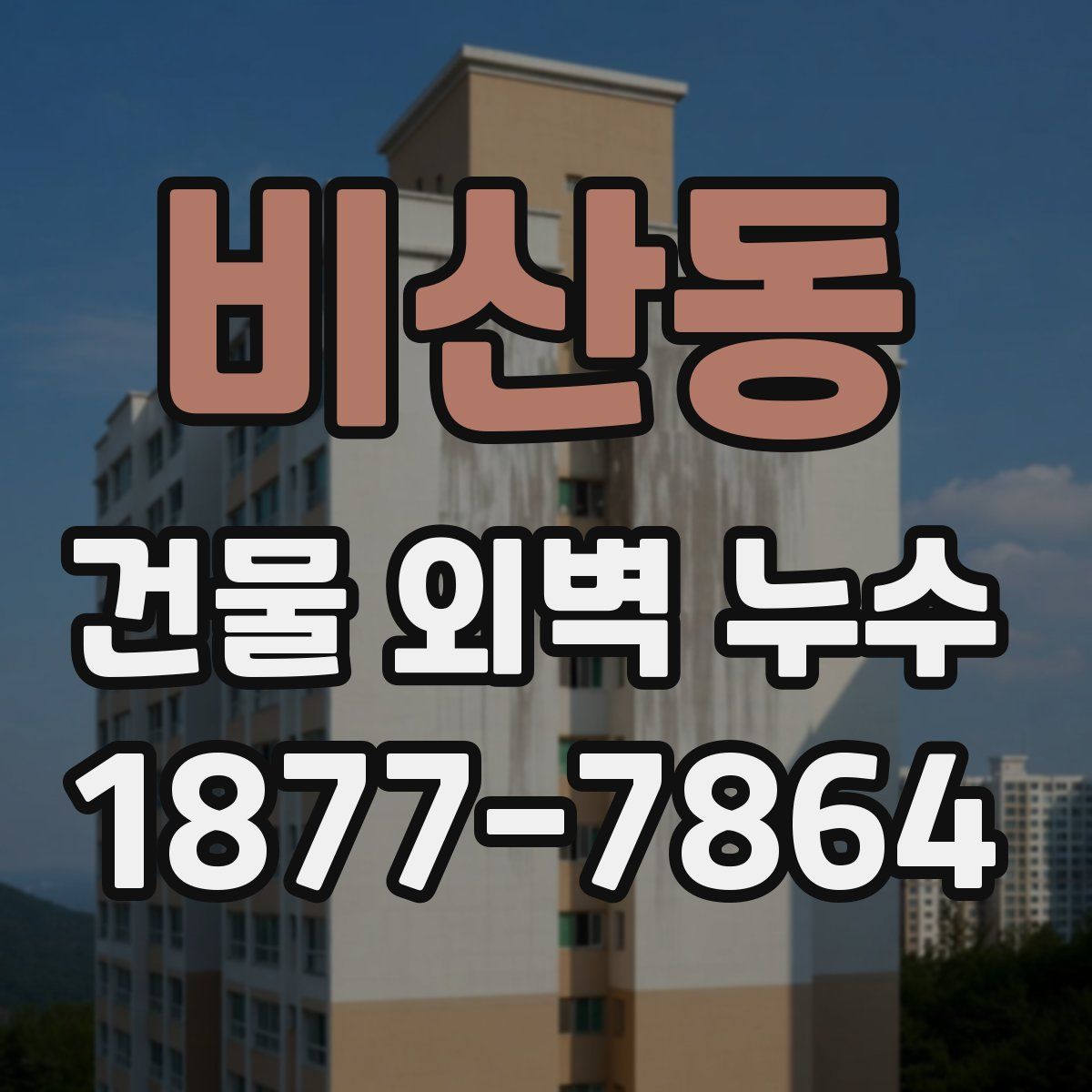 비산동 건물 외벽 누수