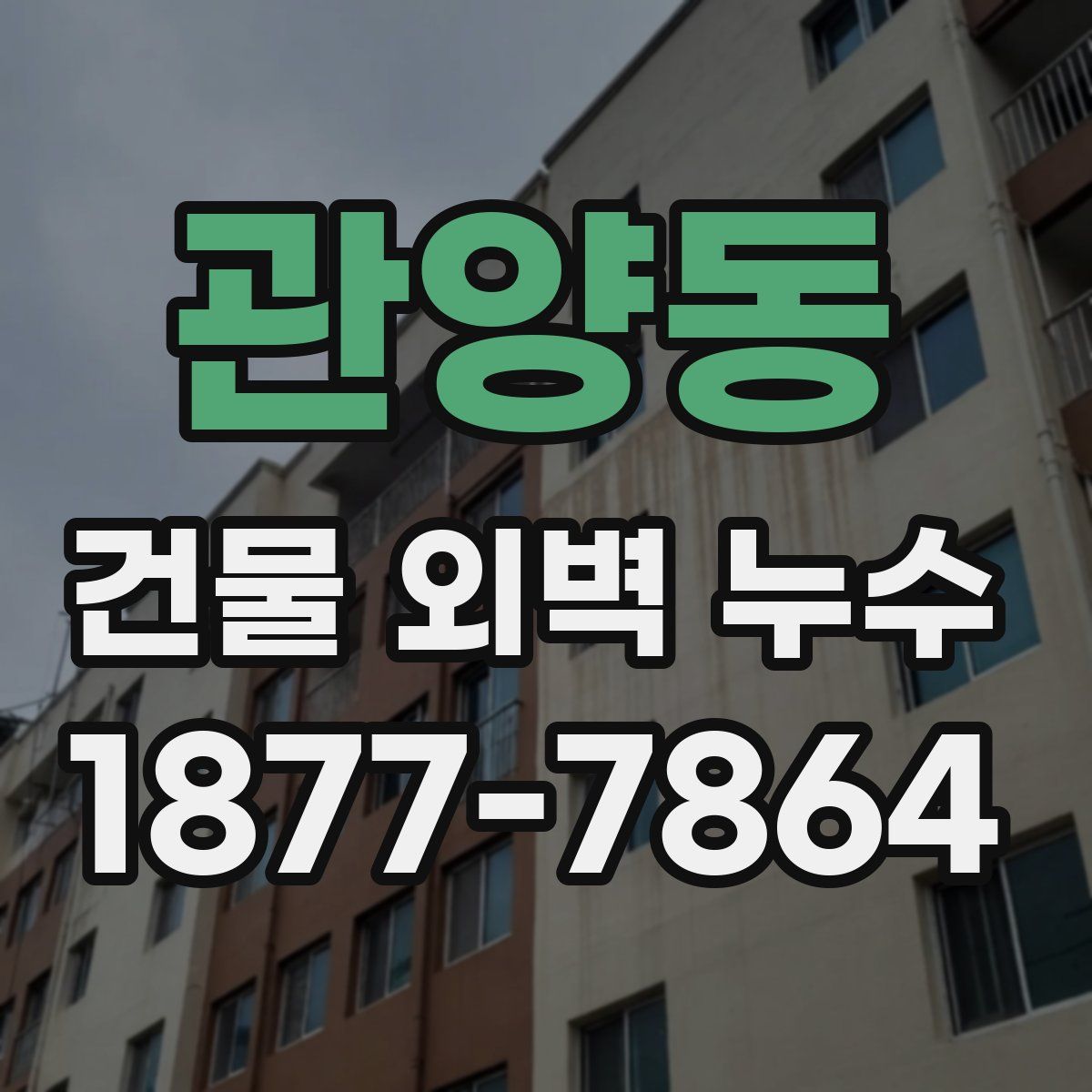 관양동 건물 외벽 누수