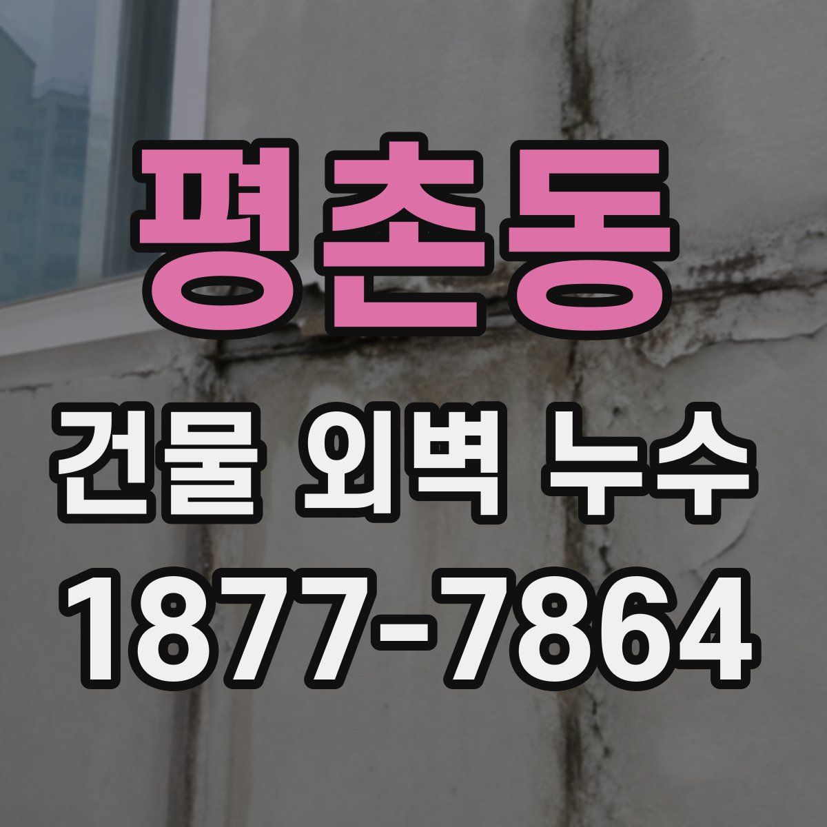 평촌동 건물 외벽 누수