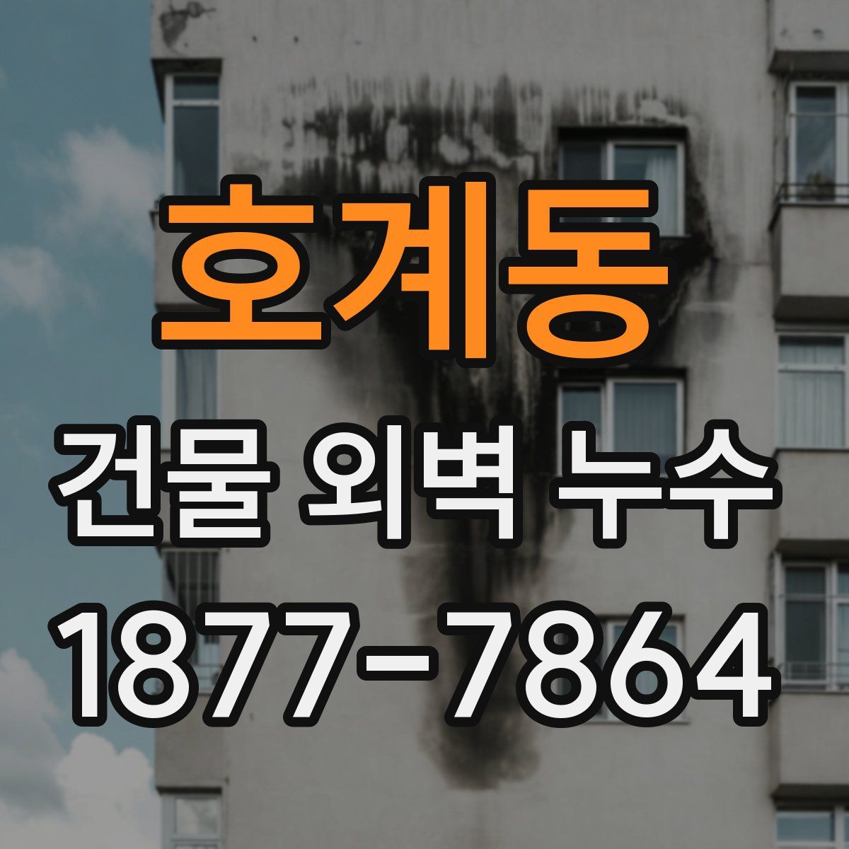 호계동 건물 외벽 누수