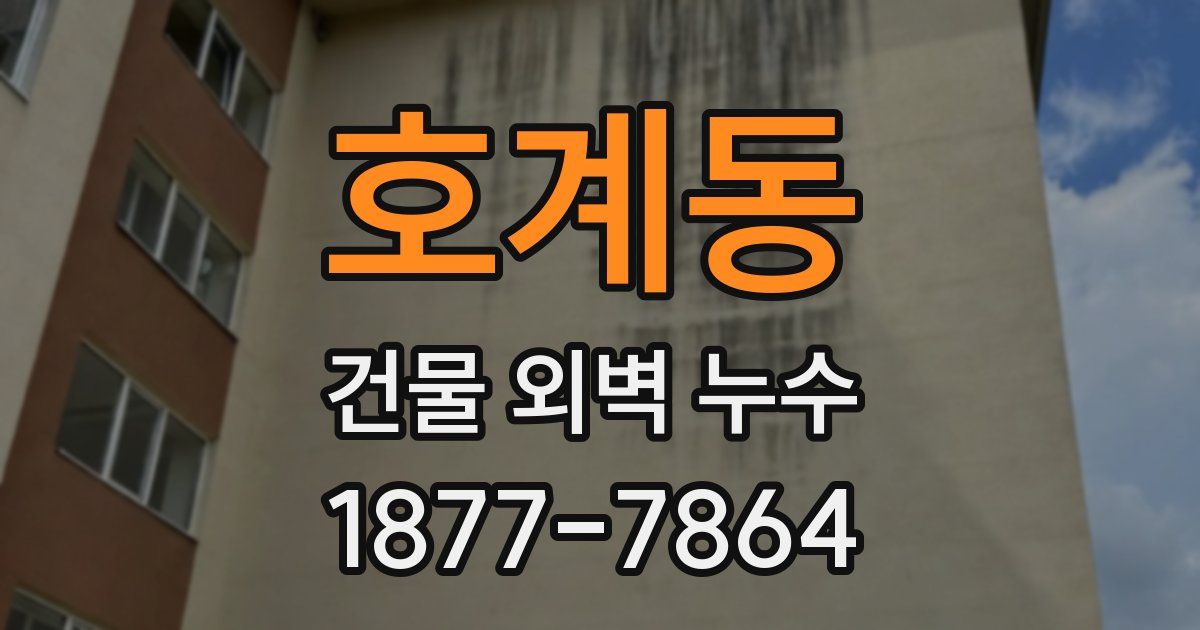 호계동 건물 외벽 누수