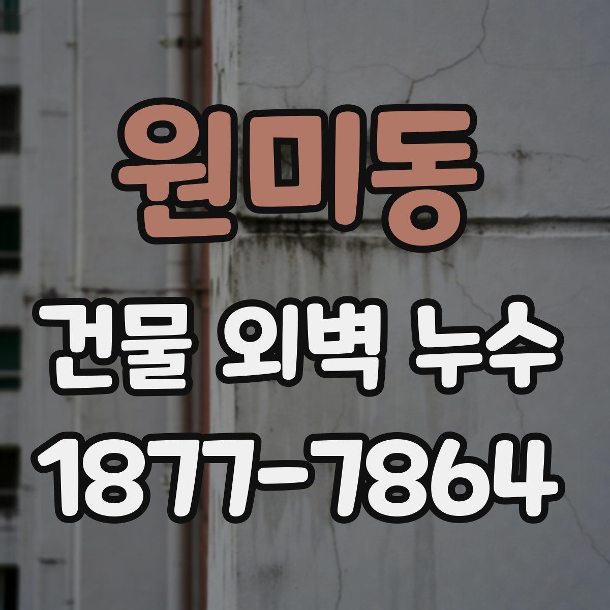 원미동 건물 외벽 누수