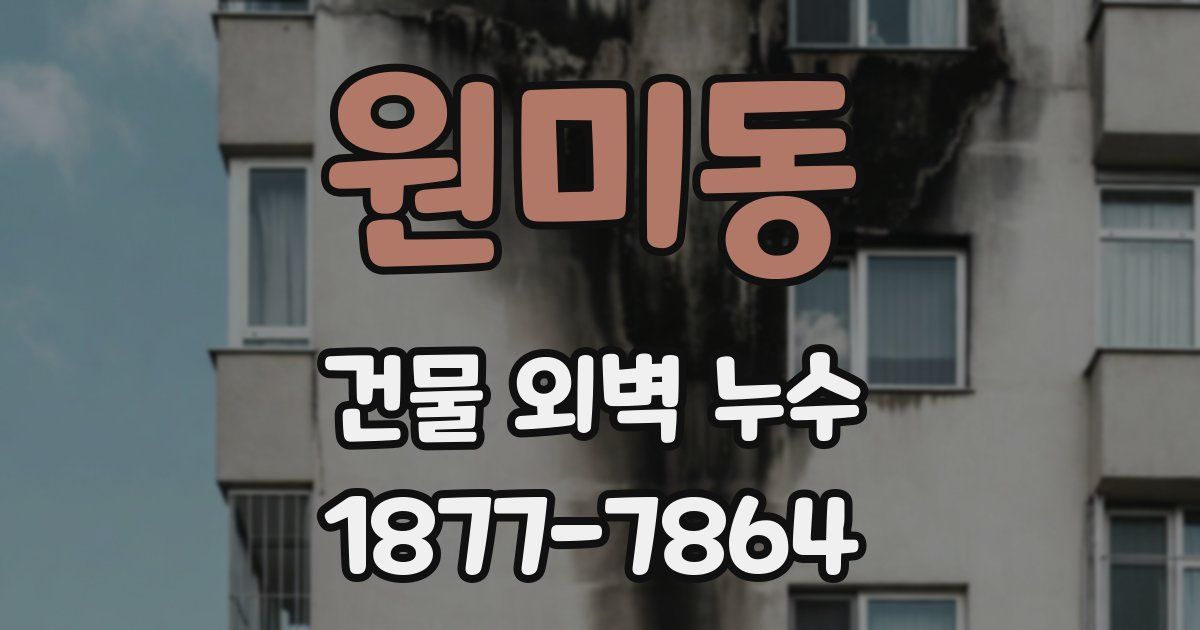 원미동 건물 외벽 누수