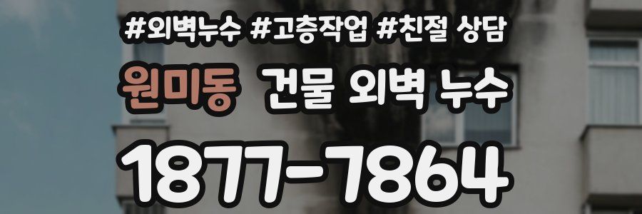 원미동 건물 외벽 누수