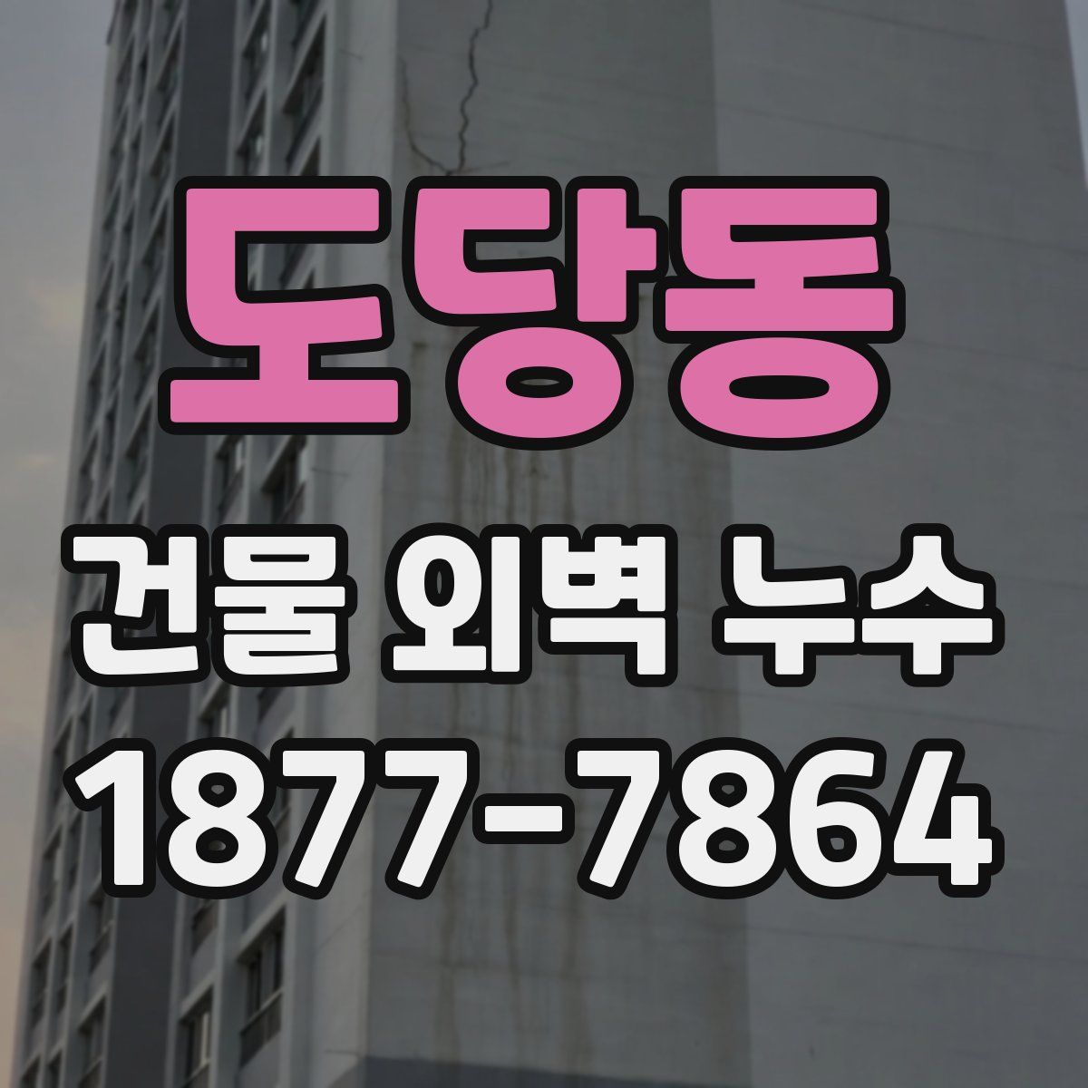 도당동 건물 외벽 누수
