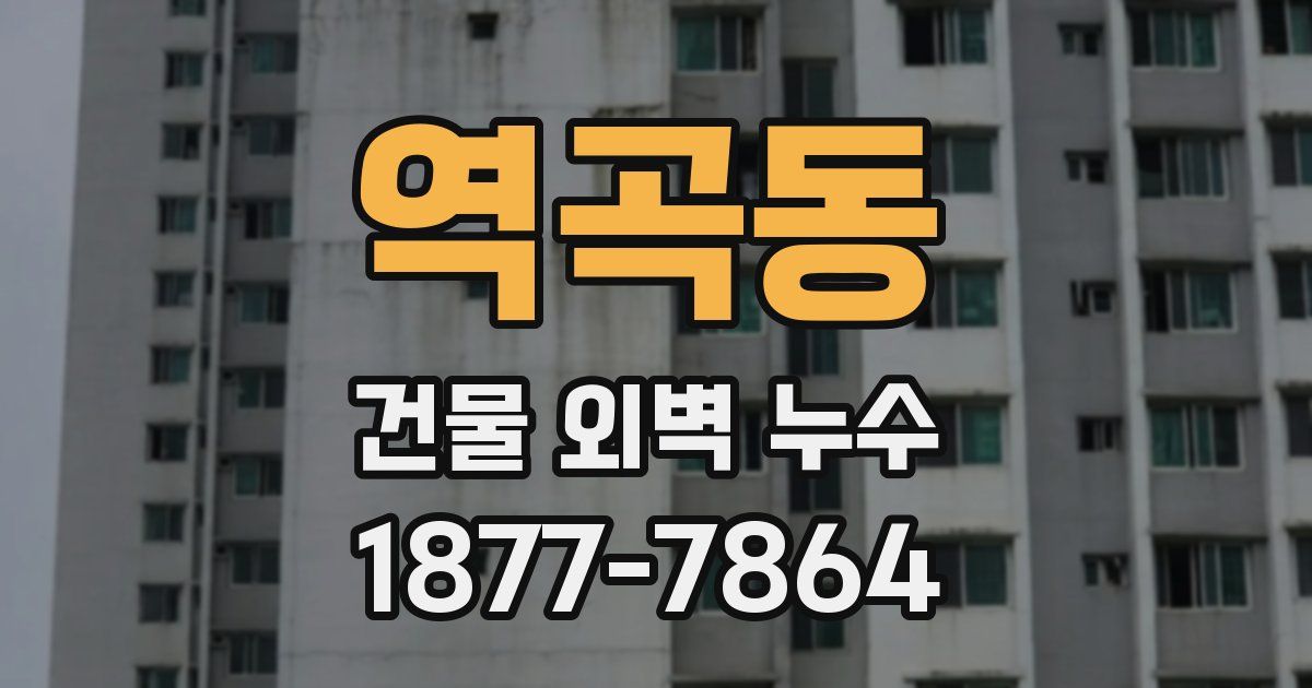 역곡동 건물 외벽 누수