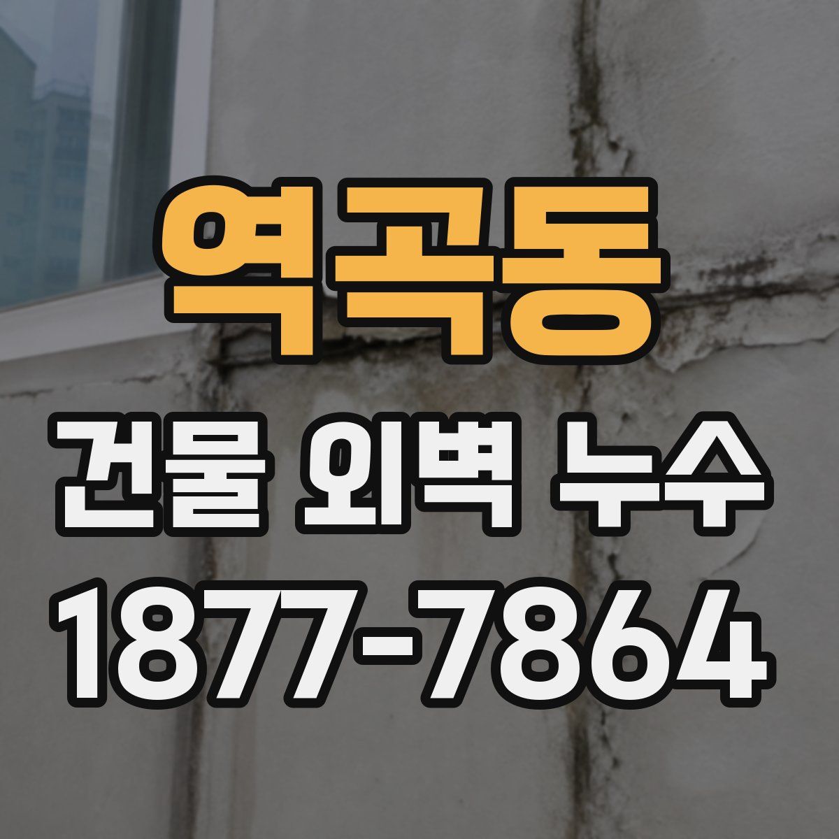 역곡동 건물 외벽 누수