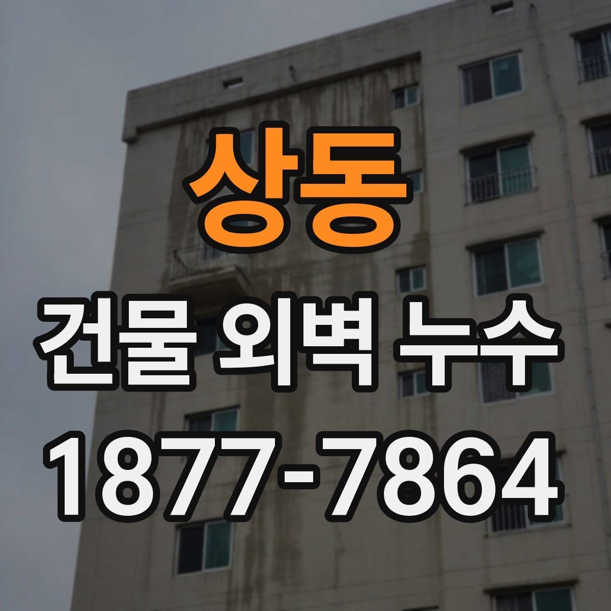 상동 건물 외벽 누수 확인해야 할 대표 징후
