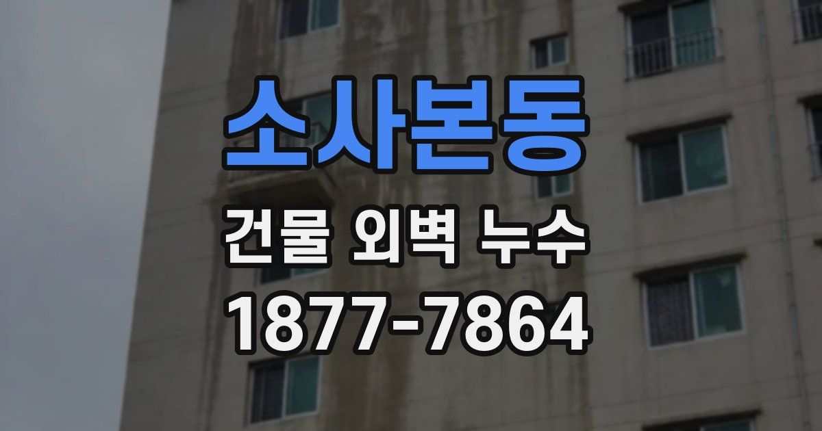 소사본동 건물 외벽 누수