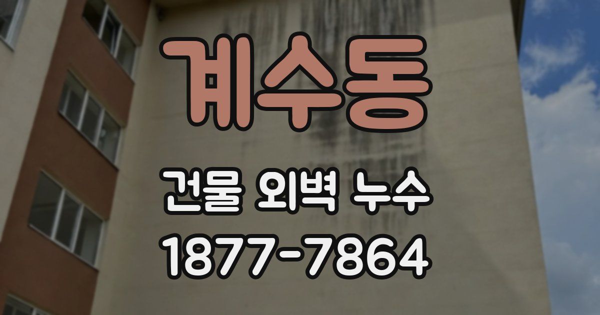 계수동 건물 외벽 누수