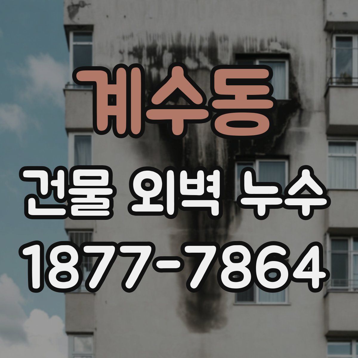 계수동 건물 외벽 누수