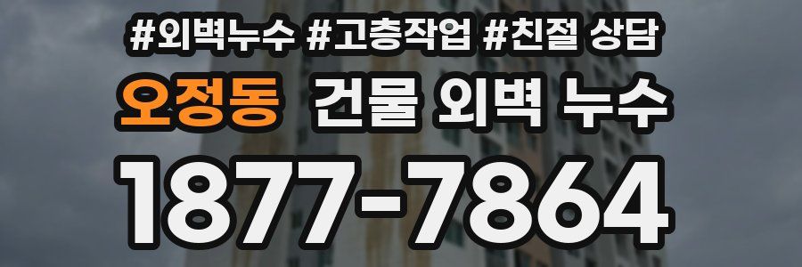 오정동 건물 외벽 누수