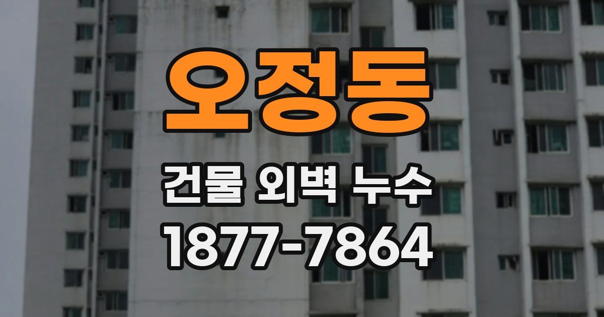 오정동 건물 외벽 누수