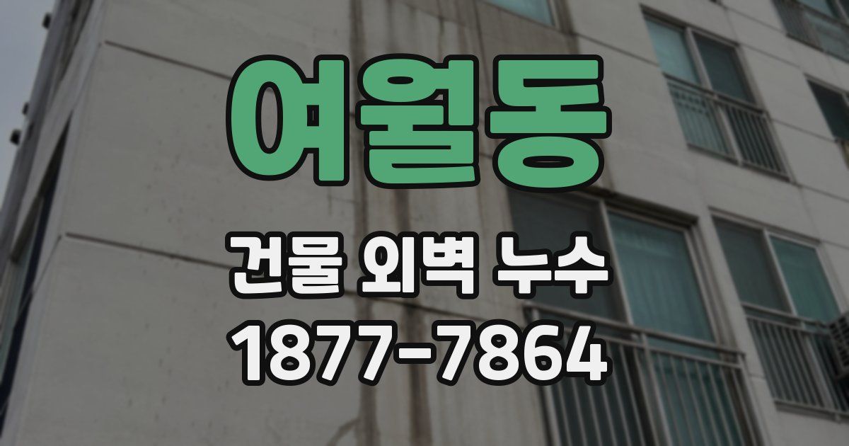 여월동 건물 외벽 누수