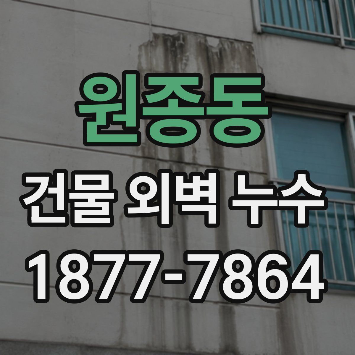 원종동 건물 외벽 누수