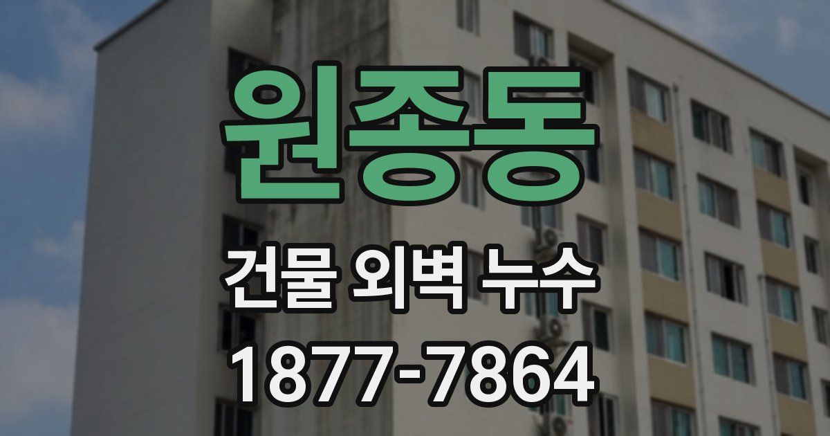 원종동 건물 외벽 누수