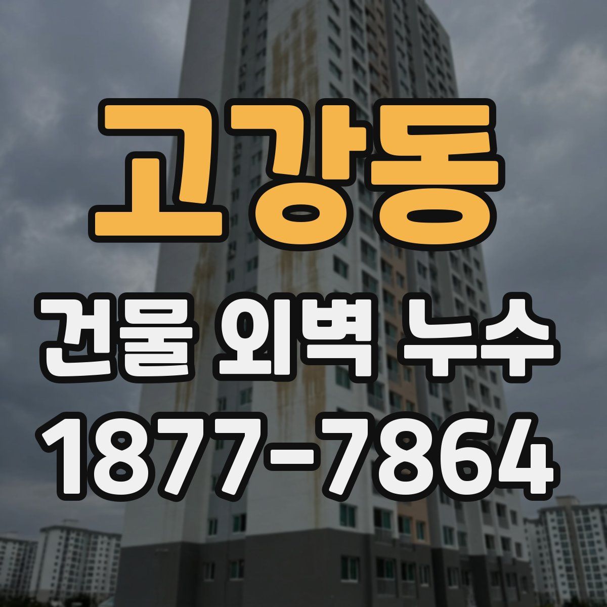 고강동 건물 외벽 누수