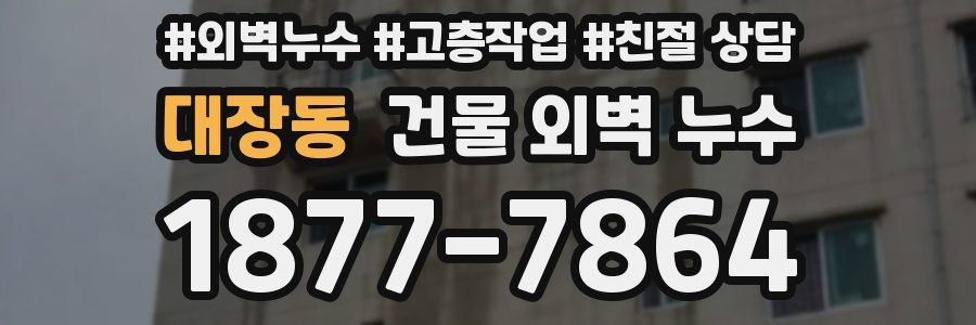 대장동 건물 외벽 누수