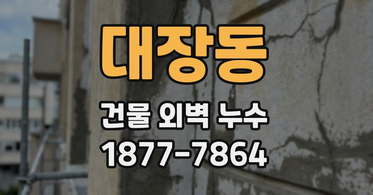 대장동 건물 외벽 누수