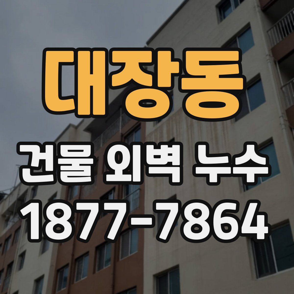 대장동 건물 외벽 누수