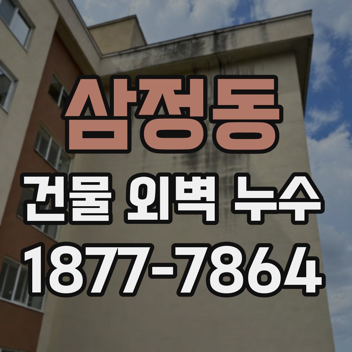 삼정동 건물 외벽 누수