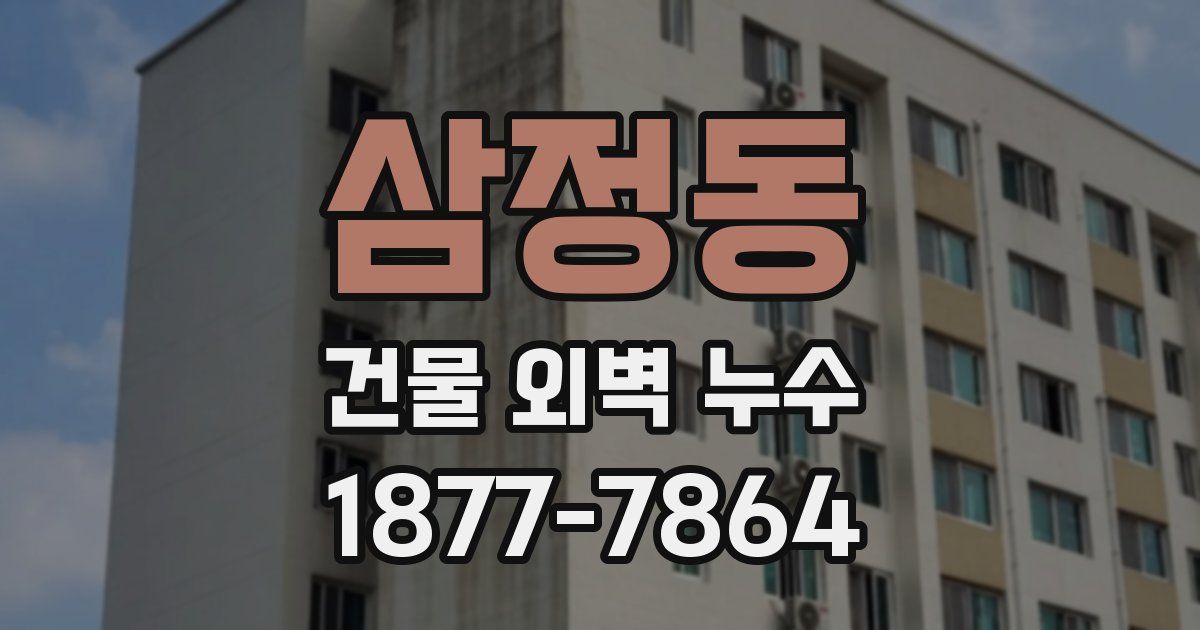 삼정동 건물 외벽 누수