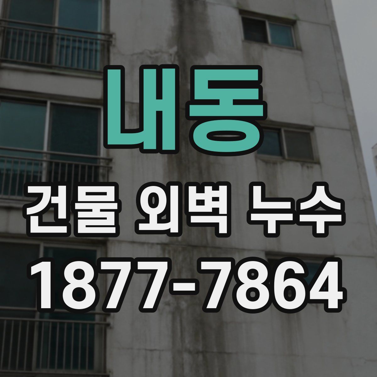 내동 건물 외벽 누수